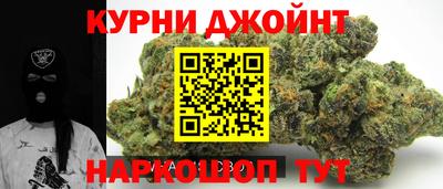 шишки Будённовск