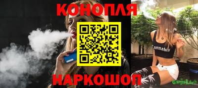 шишки Будённовск