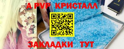 шишки Будённовск