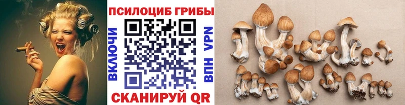 купить наркотики цена  Каспийск  Галлюциногенные грибы MAGIC MUSHROOMS 