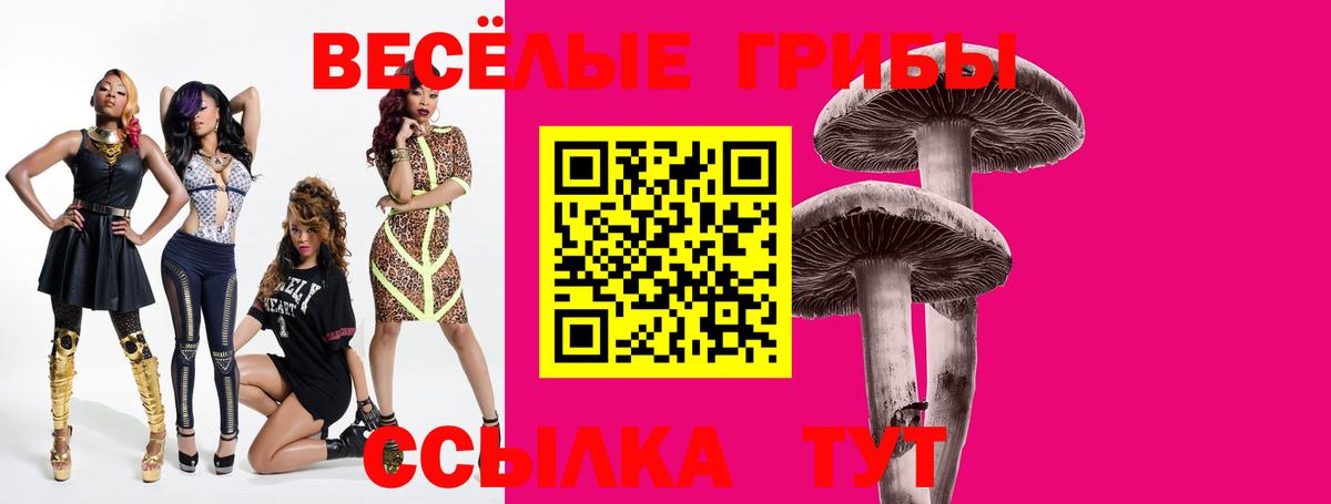 Каспийск  Псилоцибиновые грибы Psilocybe  Вход с VPN 